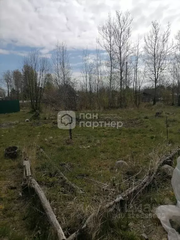 Участок в Ленинградская область, Кировский район, Синявинское ... - Фото 1