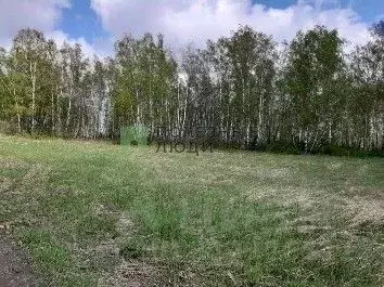 Участок в Красноярский край, Емельяновский район, Элитовский ... - Фото 1