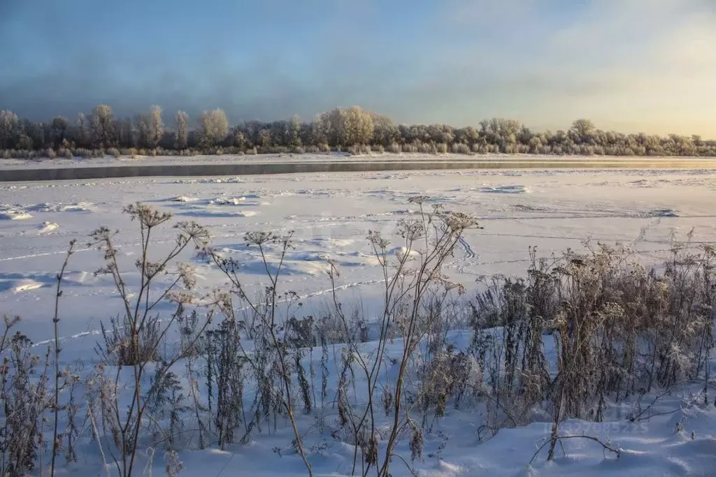 Участок в Курская область, Курский район, Рышковский сельсовет, ... - Фото 1