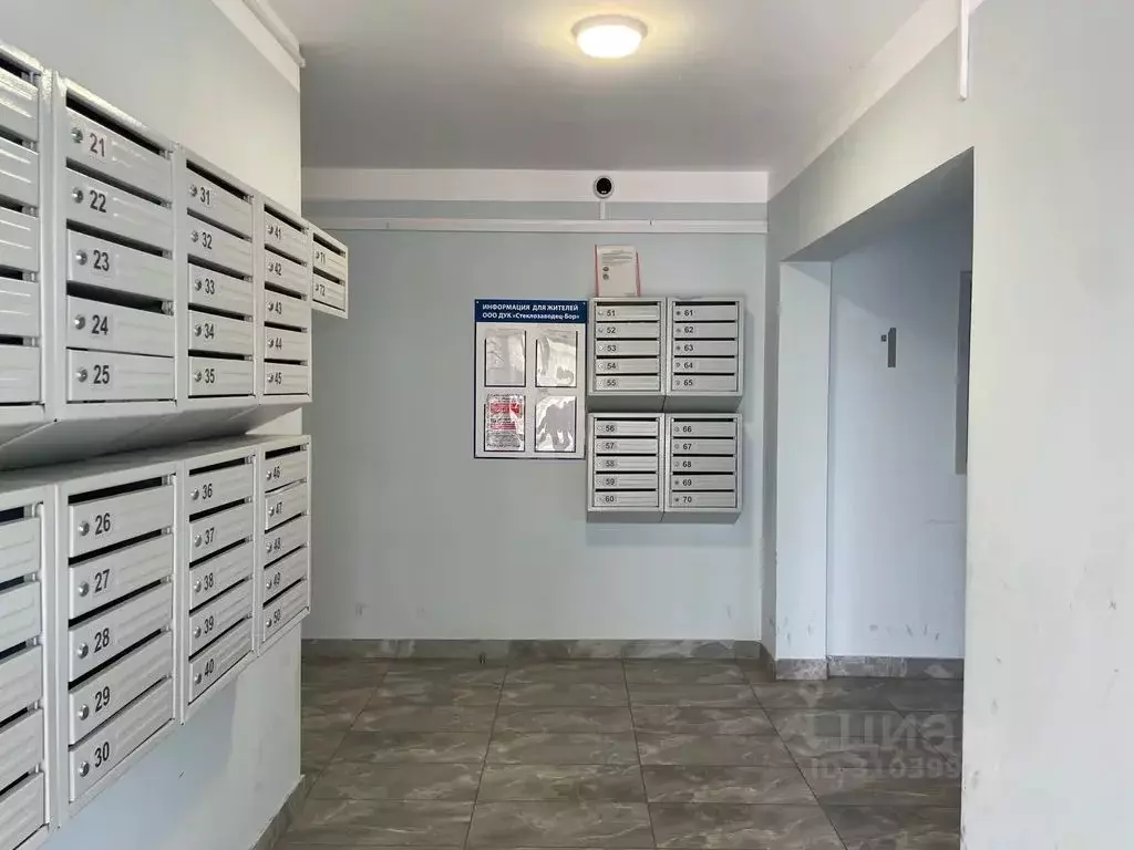 2-к кв. Нижегородская область, Бор ул. Максимова, 1 (56.0 м) - Фото 2