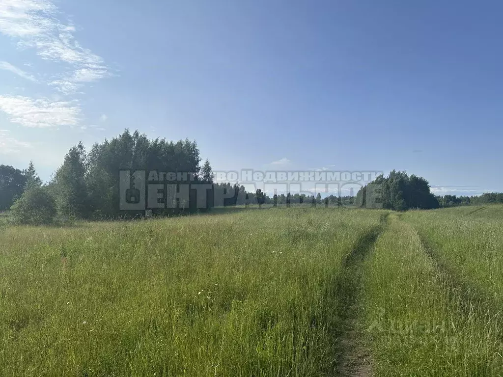 Участок в Смоленская область, Смоленский муниципальный округ, д. ... - Фото 0