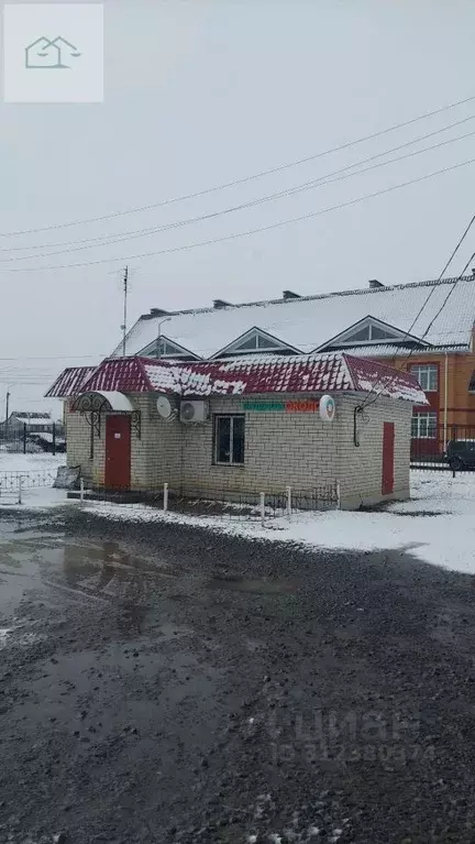 Помещение свободного назначения в Воронежская область, с. Верхняя Хава ... - Фото 0