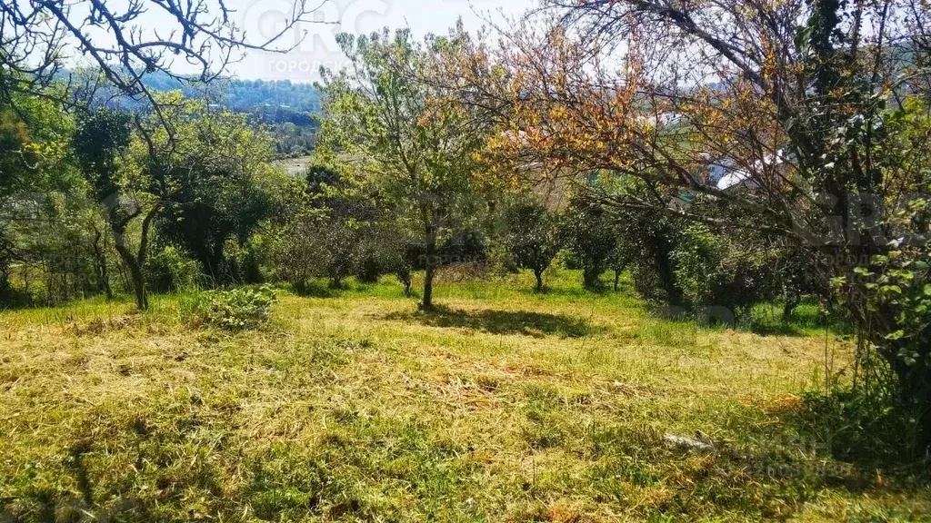 Участок в Краснодарский край, Сочи городской округ, с. Нижняя Шиловка ... - Фото 2