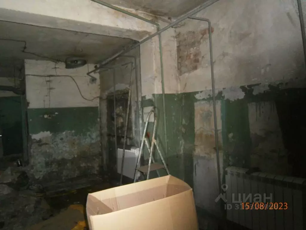 Помещение свободного назначения в Новосибирская область, Новосибирск ... - Фото 1