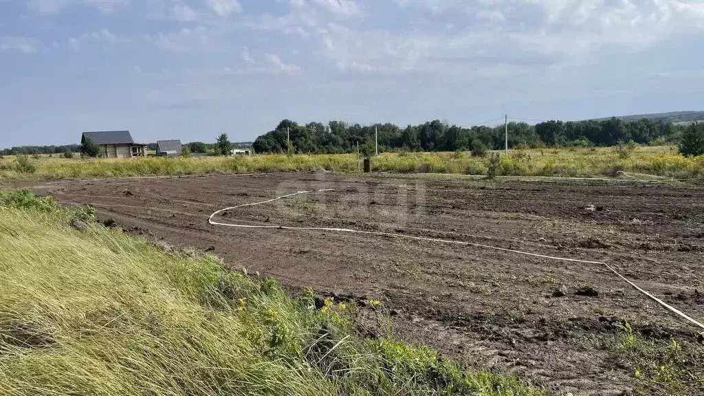Участок в Курская область, Курский район, Моковский сельсовет, д. 1-я ... - Фото 1