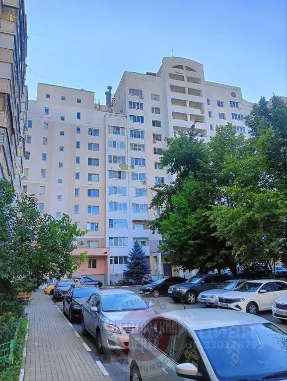 2-к кв. Белгородская область, Белгород ул. Щорса, 53 (58.2 м) - Фото 2