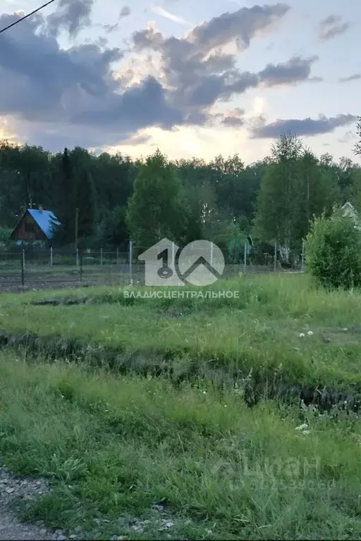 Участок в Новосибирская область, Новосибирский район, Станционный ... - Фото 0