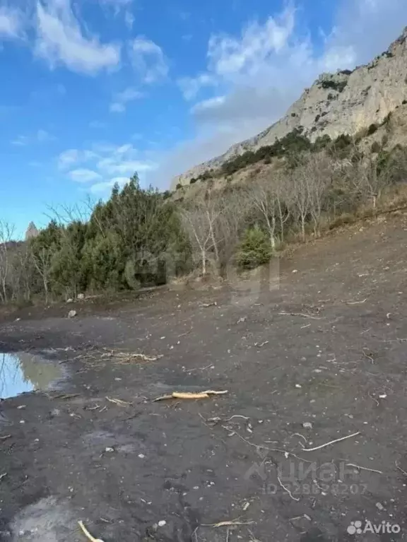 Участок в Крым, Ялта муниципальный округ, Форос пгт ул. Северная (4.46 ... - Фото 2