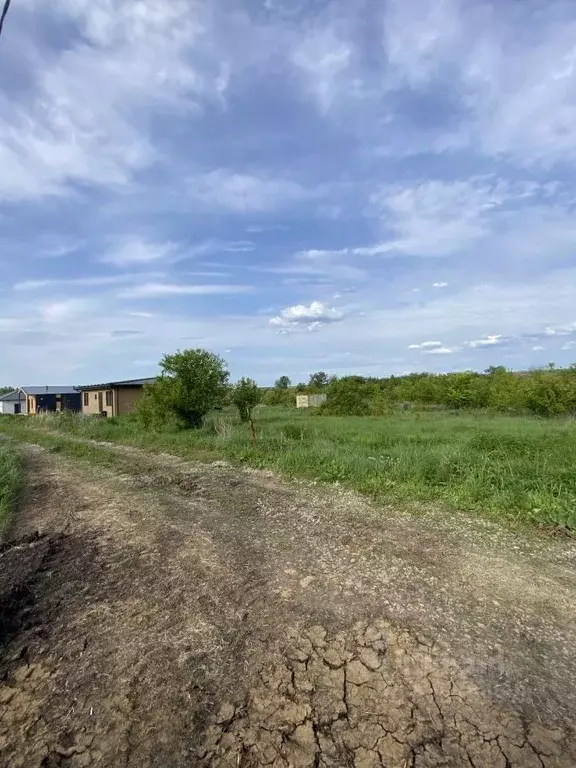 Участок в Московская область, Дмитровский муниципальный округ, д. ... - Фото 1