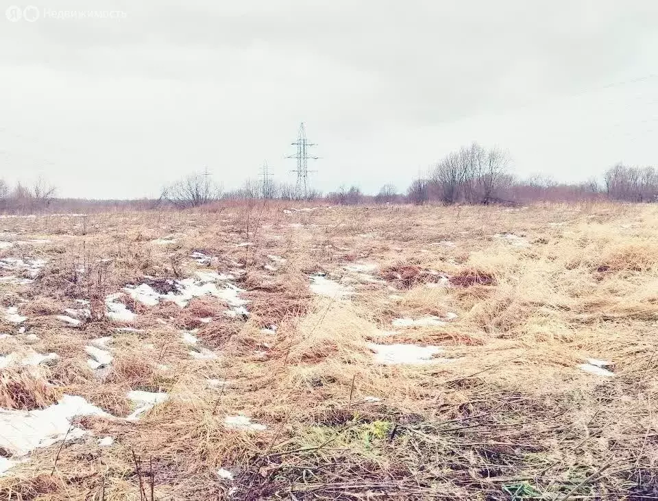 Участок в Архангельская область, Приморский муниципальный округ, ... - Фото 2