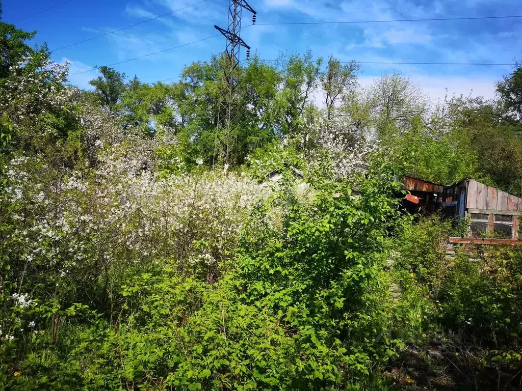 Дом в Свердловская область, Екатеринбург Яблочко СНТ, 8 (49 м) - Фото 1