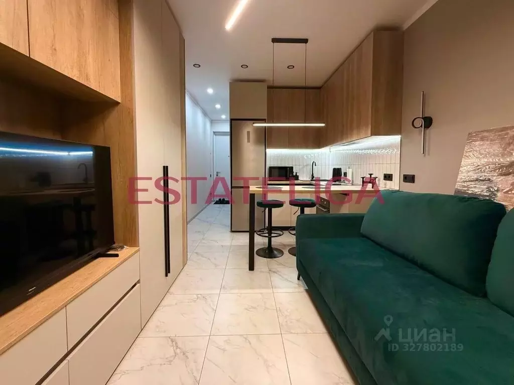 Студия Москва Нагатинская наб., 10А (23.1 м) - Фото 1