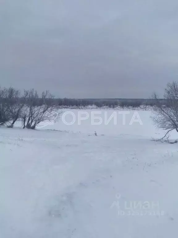 Участок в Тюменская область, Тюменский муниципальный округ, Каменское ... - Фото 2
