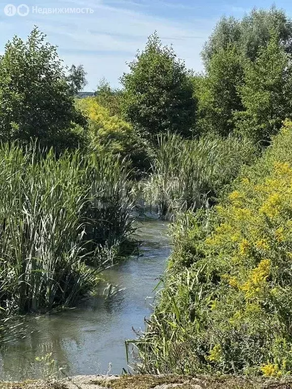 Участок в Светловский городской округ, посёлок Черепаново (381.8 м) - Фото 1