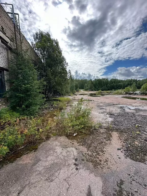 Производственное помещение в Ленинградская область, Выборг ул. ... - Фото 1