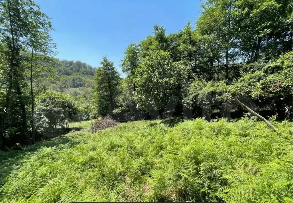 Участок в Краснодарский край, Сочи городской округ, с. Горное Лоо  ... - Фото 2