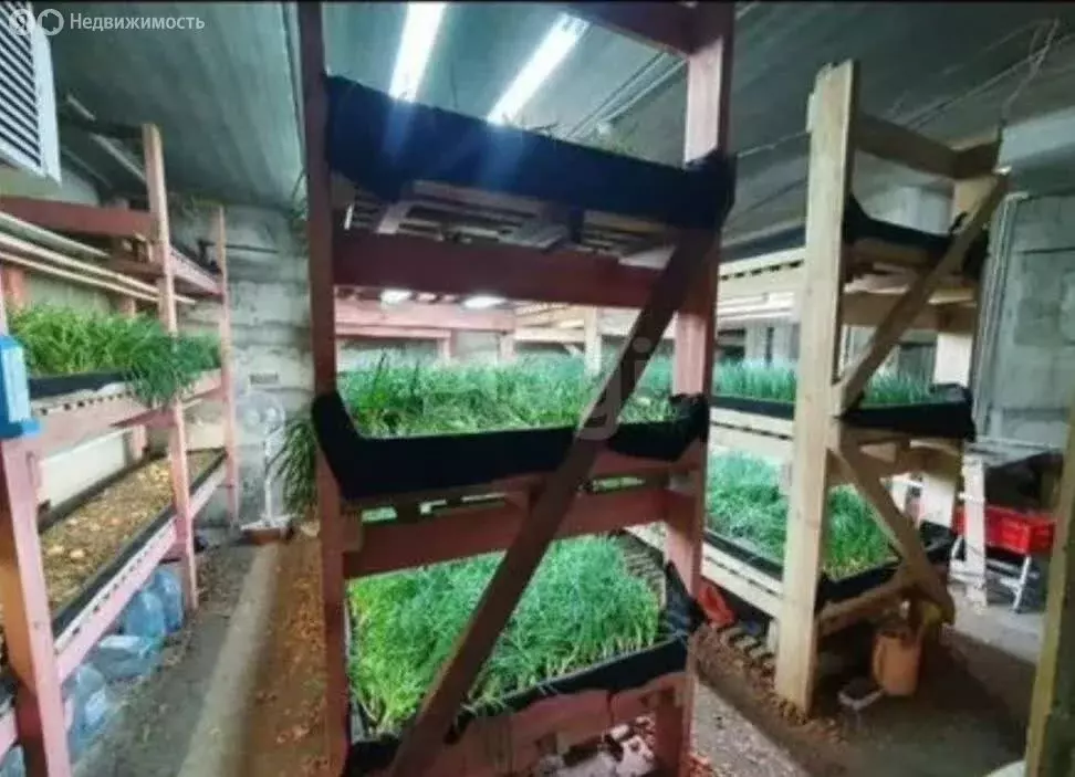 Помещение свободного назначения (47 м) - Фото 1