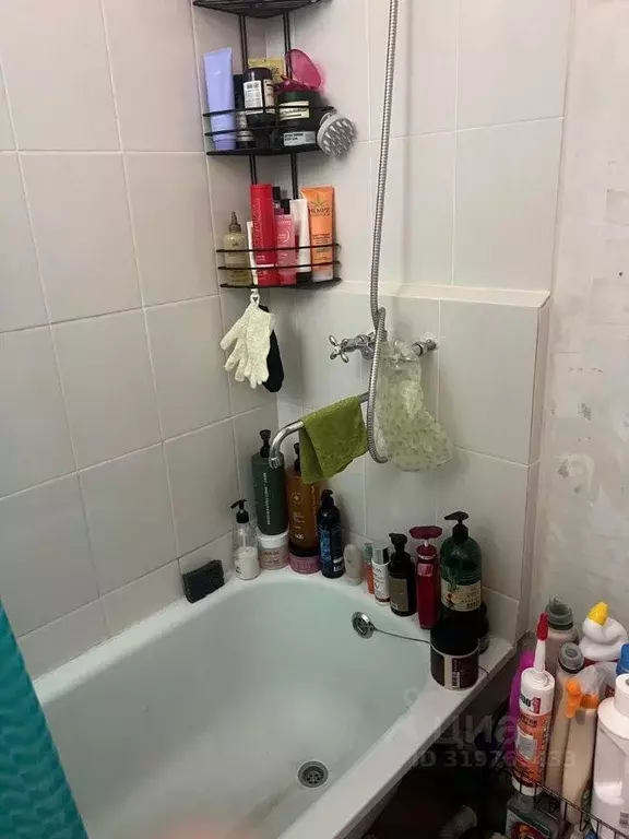 Квартира, студия, 24.9 м - Фото 0