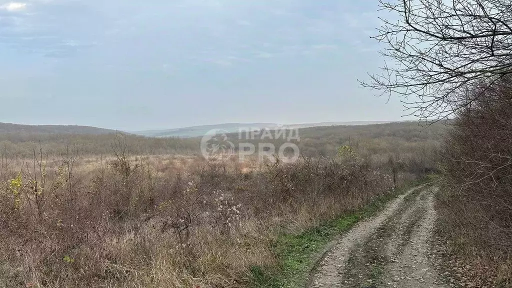 Участок в Краснодарский край, Крымский район, Варениковское с/пос, с. ... - Фото 1