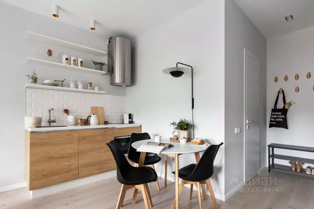 1-к кв. Санкт-Петербург Кузнечный пер., 19-21 (27.0 м) - Фото 2