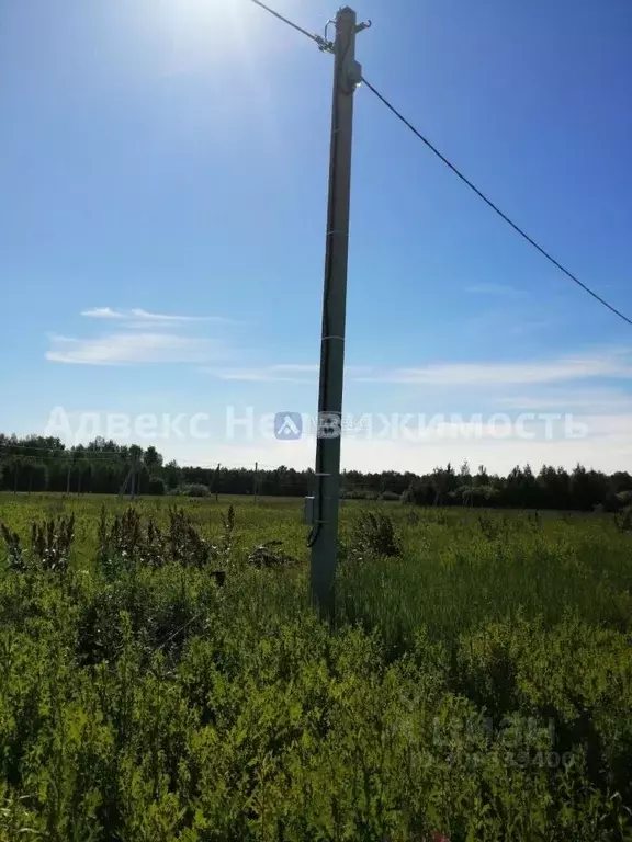 Участок в Тюменская область, Тюменский район, с. Червишево  (8.42 ... - Фото 1