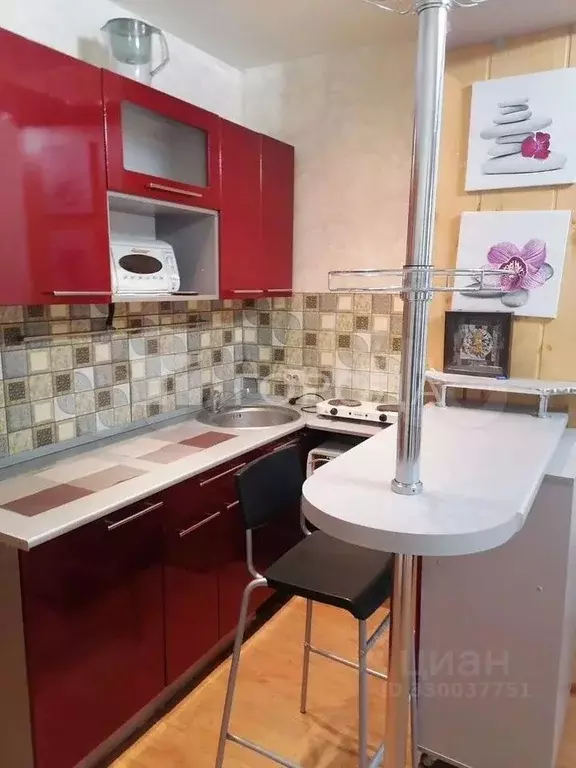 Студия Новосибирская область, Новосибирск Рябиновая ул., 10/1 (30.0 м) - Фото 1