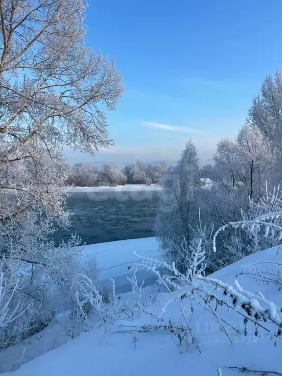 Участок в Алтайский край, Советский район, с. Платово  (10.0 сот.) - Фото 1