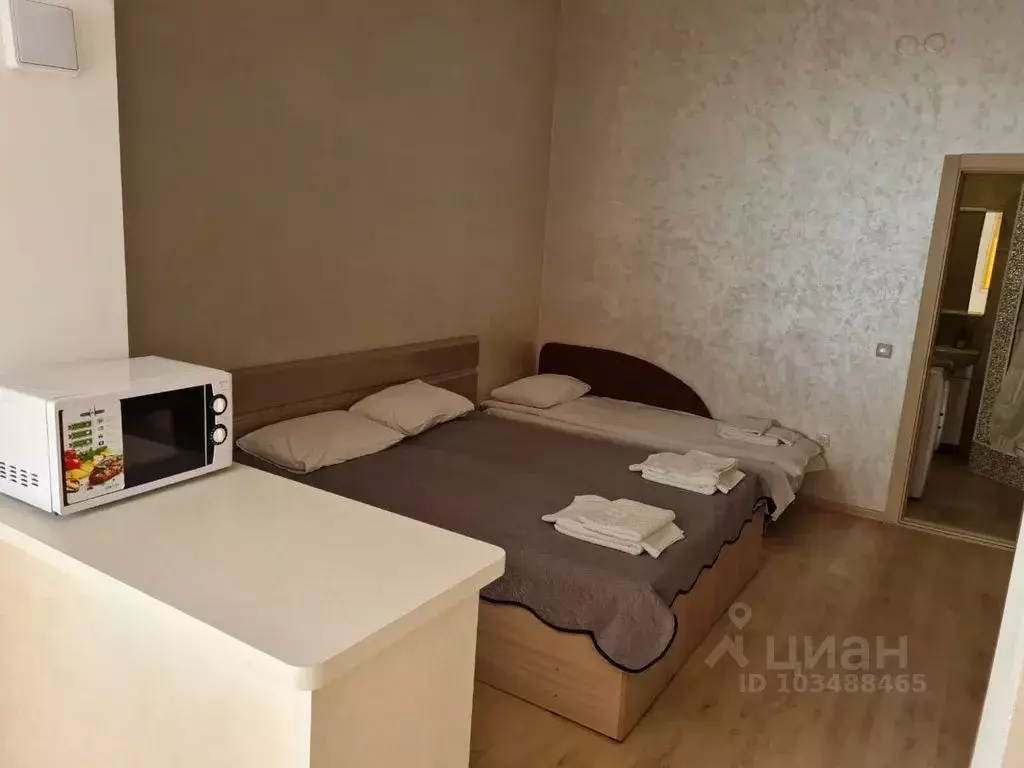 1-к кв. Севастополь с. Орловка, ш. Качинское, 35А (27.0 м) - Фото 0