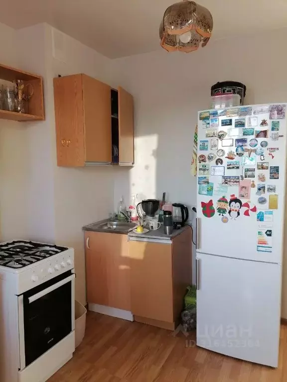 1-к кв. Башкортостан, Уфа ул. Маршала Жукова, 24 (37.3 м) - Фото 1