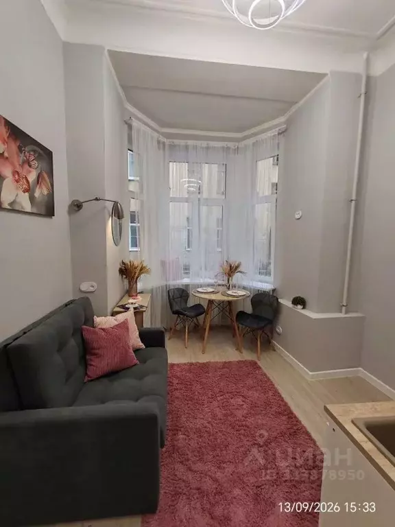 Студия Санкт-Петербург Троицкий просп., 16 (15.0 м) - Фото 2