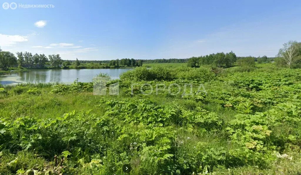 участок в московская область, городской округ солнечногорск, деревня . - Фото 0