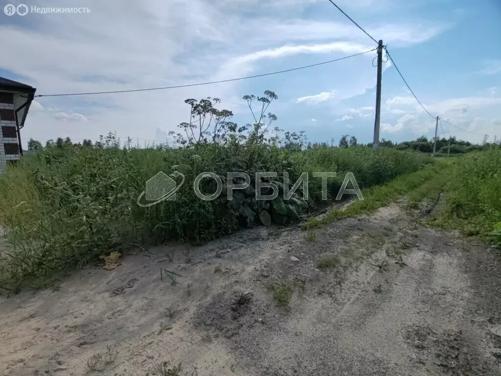 Участок в Тюмень, СНТ Царево, Пихтовая улица (10 м) - Фото 2