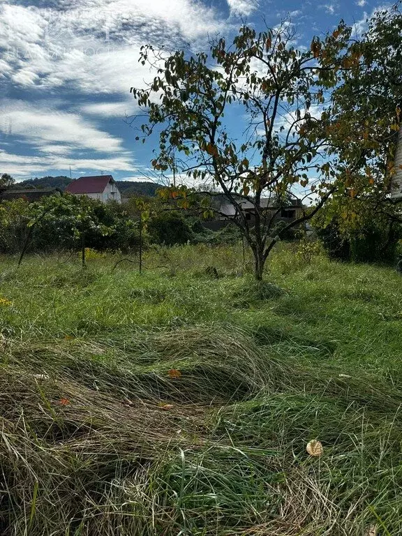 Участок в Сочи, микрорайон Нижняя Хобза, Верхнехобзинская улица (9 м) - Фото 2