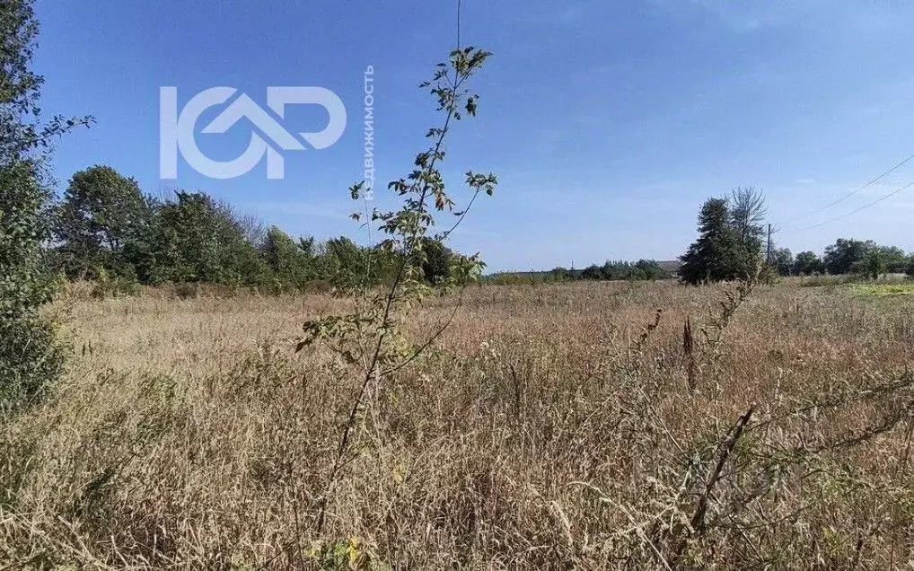Участок в Воронежская область, Семилукский район, с. Землянск ул. ... - Фото 1