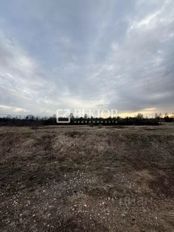 Участок в Ивановская область, Иваново Революционная ул. (8.0 сот.) - Фото 2