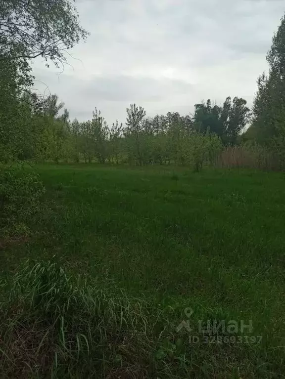 Участок в Воронежская область, с. Новая Усмань ул. Мосина (10.0 сот.) - Фото 1