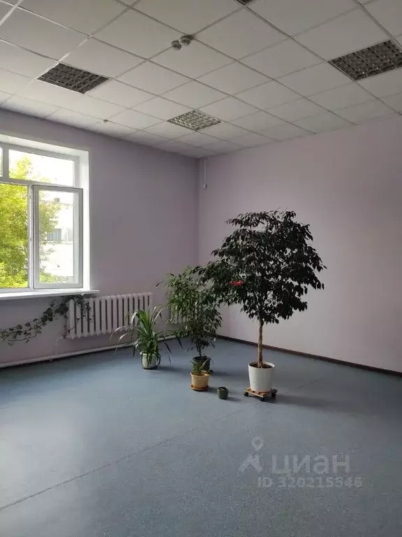 Офис в Омская область, Омск ул. Куйбышева, 132к2 (40 м) - Фото 1