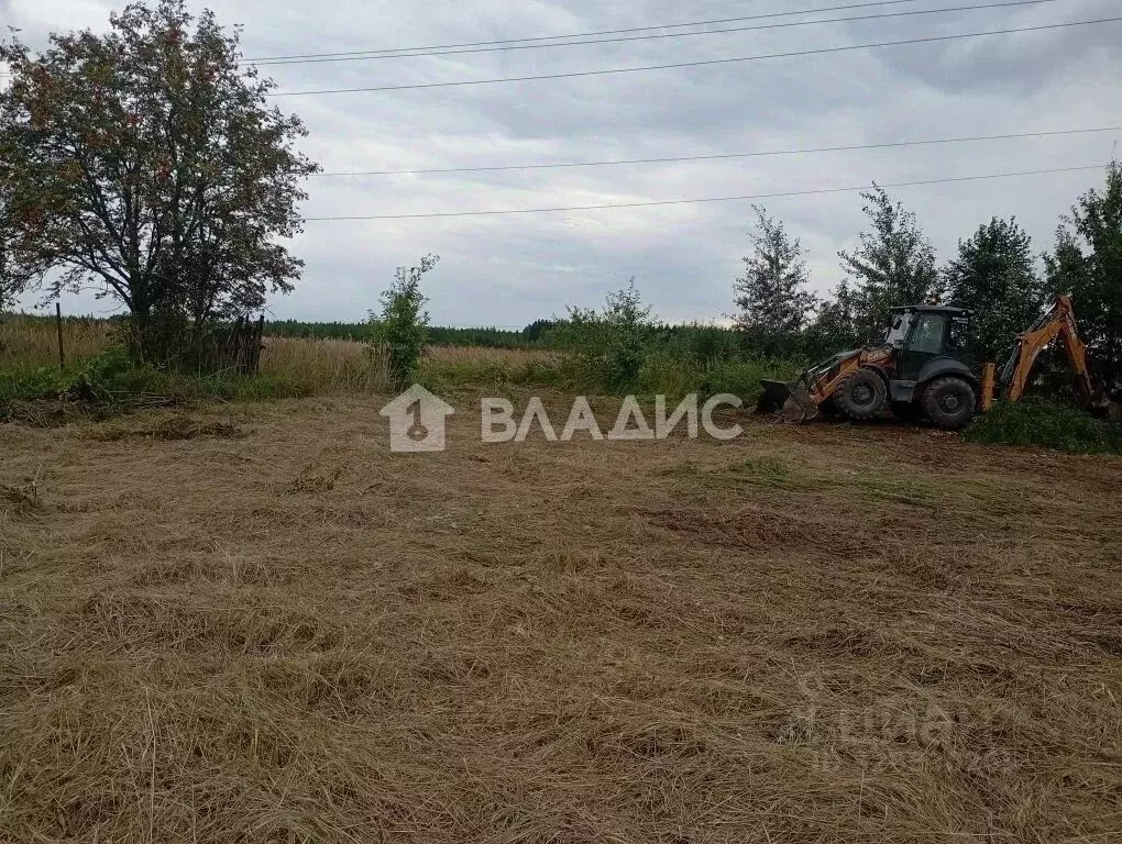 Участок в Московская область, Егорьевск муниципальный округ, д. Бруски ... - Фото 2