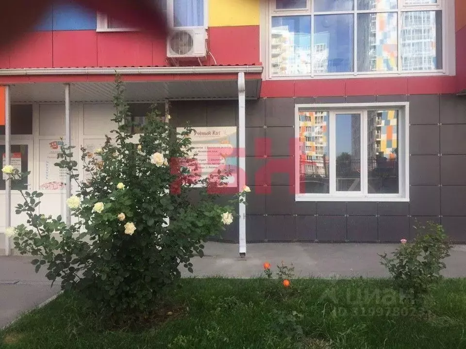 Помещение свободного назначения в Ростовская область, Ростов-на-Дону ... - Фото 0