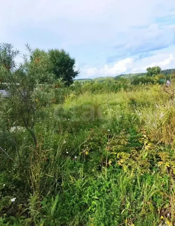 Участок в Новосибирская область, Новосибирск Станционная ул., 38к642 ... - Фото 1