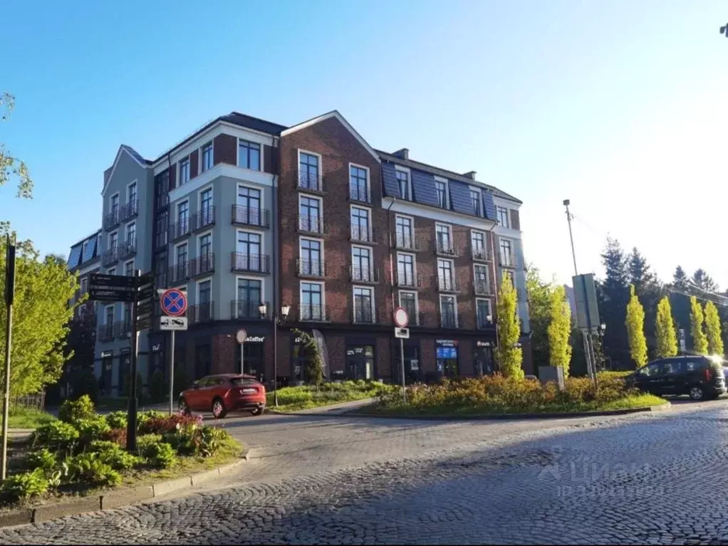 1-к кв. Калининградская область, Светлогорск Калининградский просп., ... - Фото 2