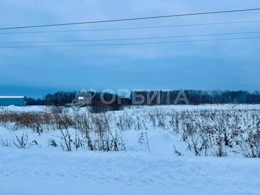 Участок в Тюменская область, Тюменский район, с. Горьковка Сибирская ... - Фото 1