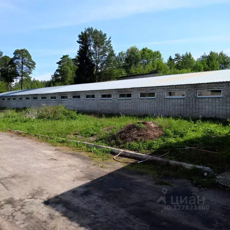 Склад в Псковская область, Псковский район, Торошинская волость, д. ... - Фото 2