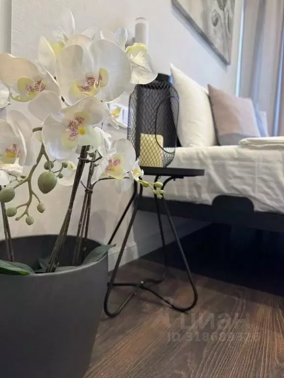 1-к кв. Нижегородская область, Нижний Новгород Барминская ул., 1А ... - Фото 2