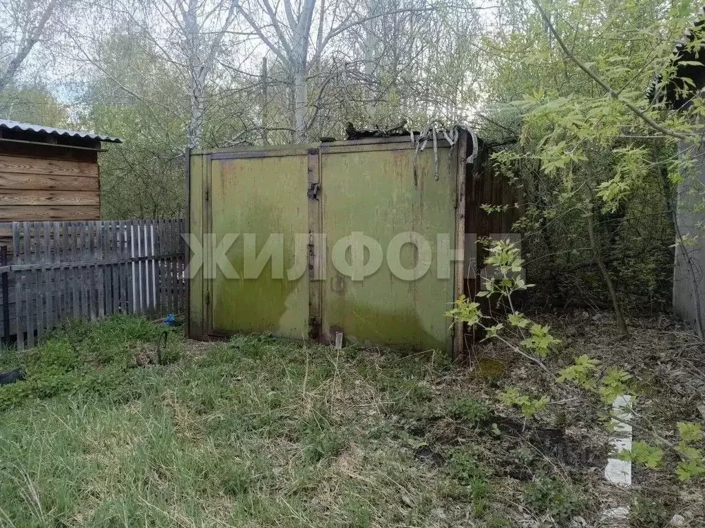 Участок в Новосибирская область, Новосибирский район, Толмачевский ... - Фото 2