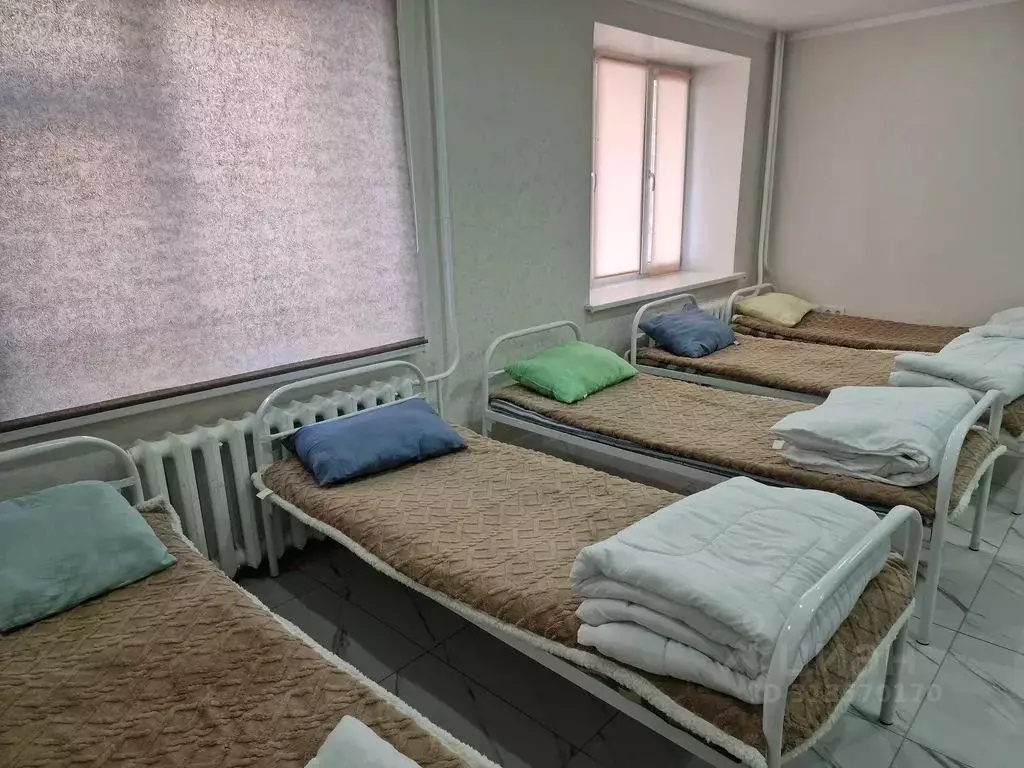 Студия Татарстан, Альметьевск ул. Шевченко, 166 (50.0 м) - Фото 0