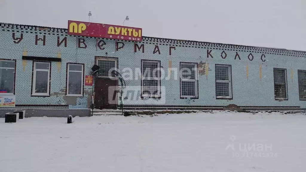 Торговая площадь в Алтайский край, Смоленский район, пос. Верх-Обский ... - Фото 2
