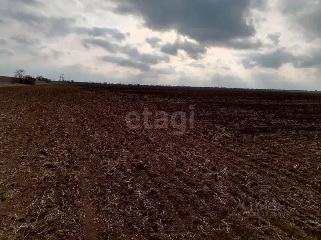 Участок в Крым, Первомайский район, Кормовское с/пос, с. Кормовое  ... - Фото 2