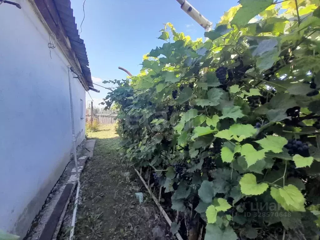 Дом в Оренбургская область, Саракташский район, Черноотрожский ... - Фото 2