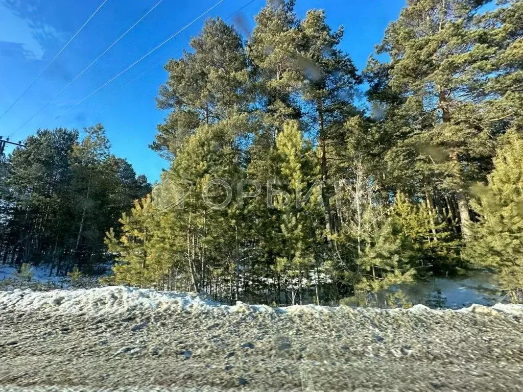 Участок в Тюменская область, Тюменский муниципальный округ, д. Марай  ... - Фото 1